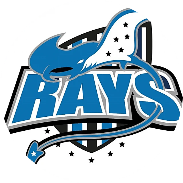 Logo Rays